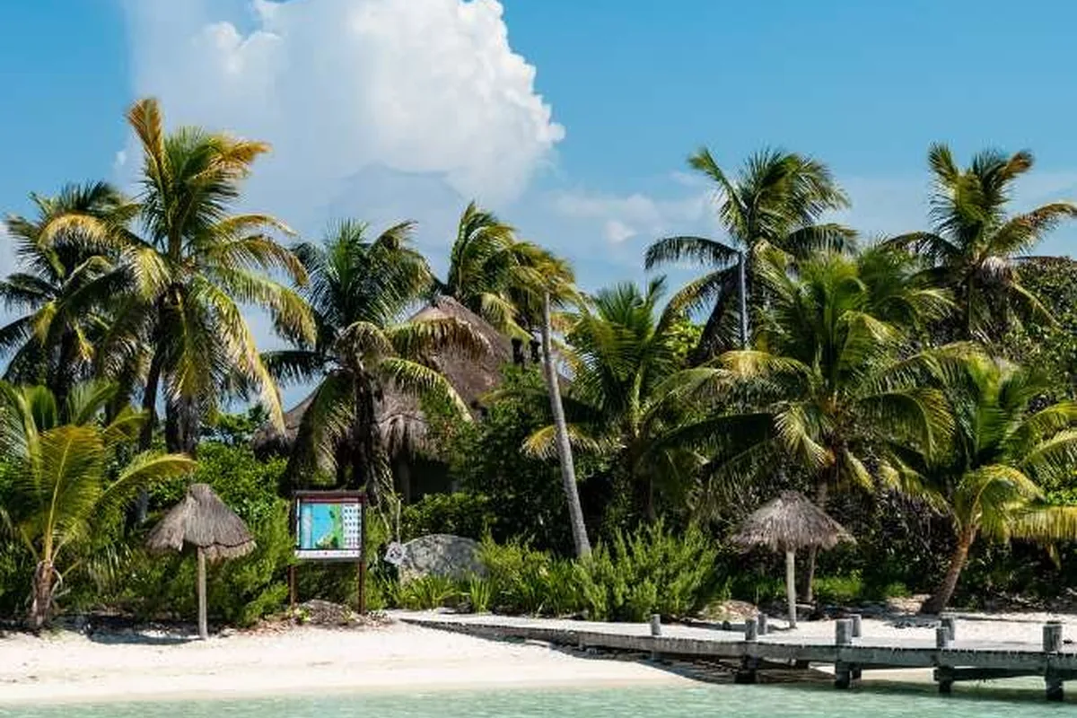Palme e mare sulla spiaggia di Isla Contoy
