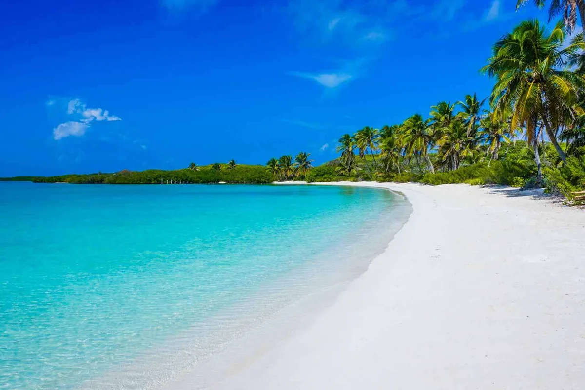 Spiaggia incontaminata di Isla Contoy