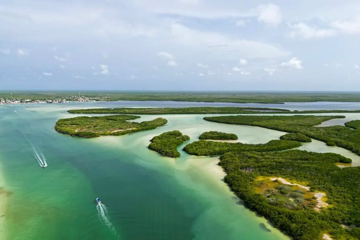 Mangrovie e lagune di Río Lagartos viste dall’alto