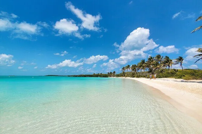 Mare turchese e natura di Isla Contoy
