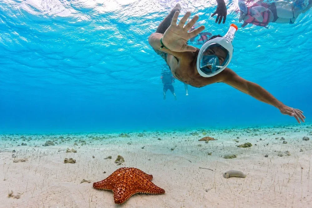 Stella marina nelle acque trasparenti di Cozumel