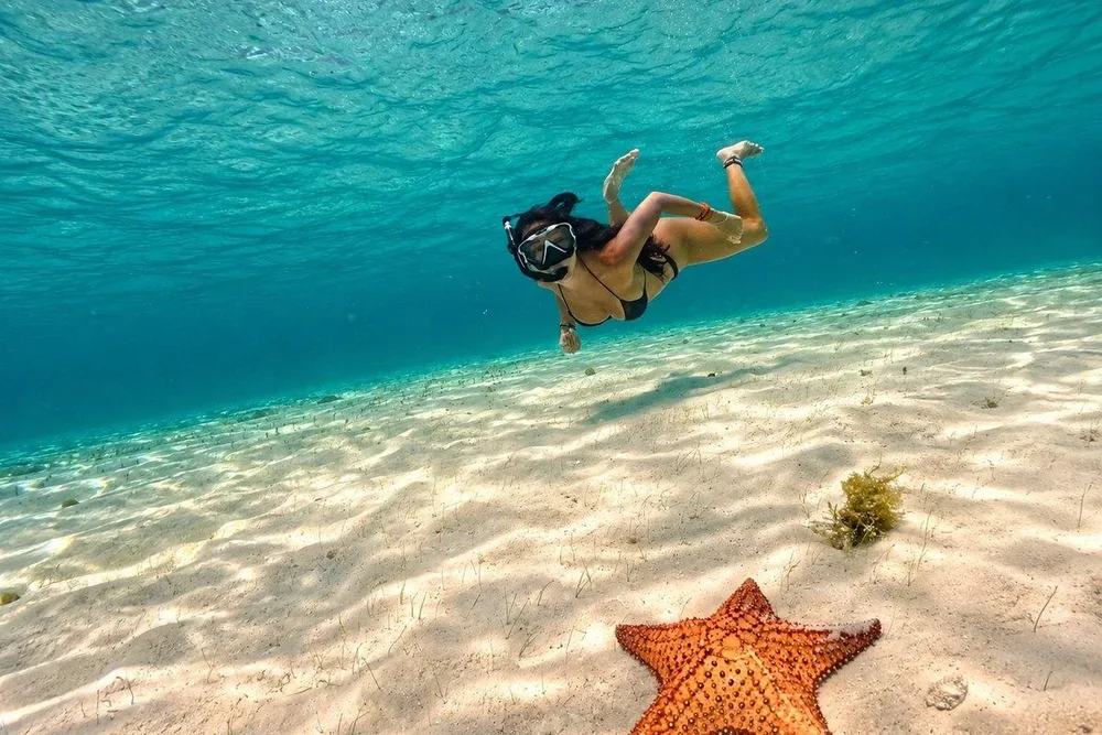 Snorkeling tra le stelle marine a Cozumel