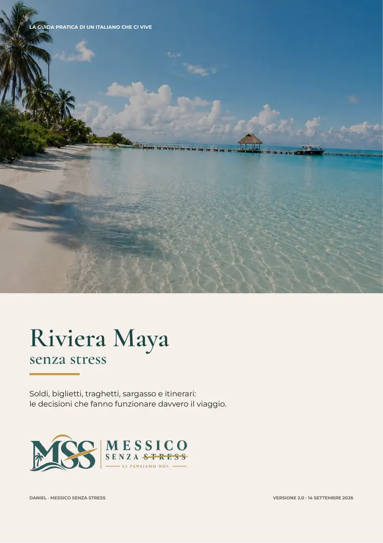 La copertina della guida