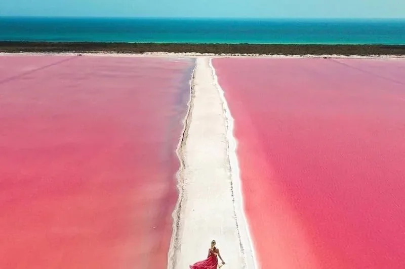 Laghi rosa di Las Coloradas